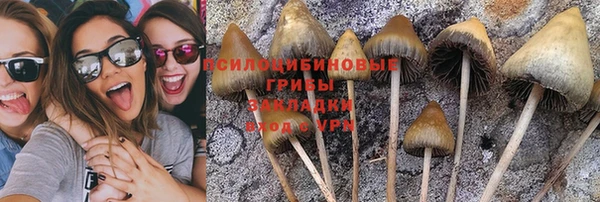 ешки Щучье