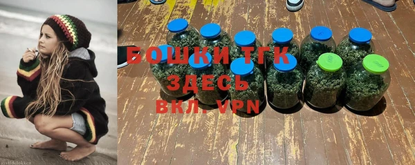 ешки Щучье