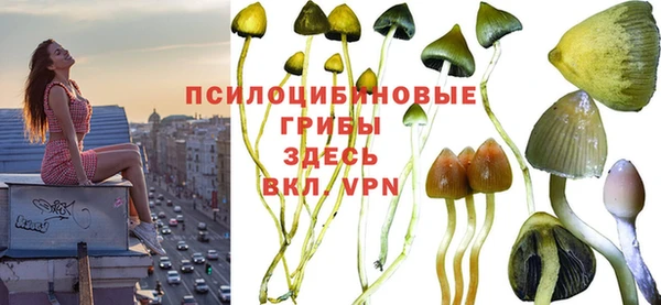 амфетамин Щигры