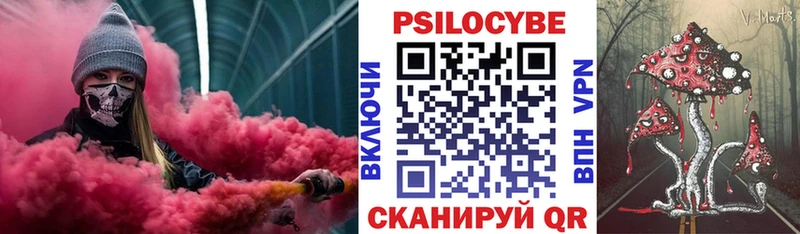 Псилоцибиновые грибы Magic Shrooms  Купить закладки  Полярный 